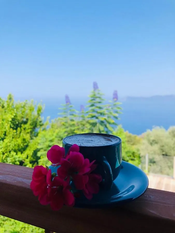 Suleymans Garden Bed and Breakfast Faralya 0*,  Turkiet