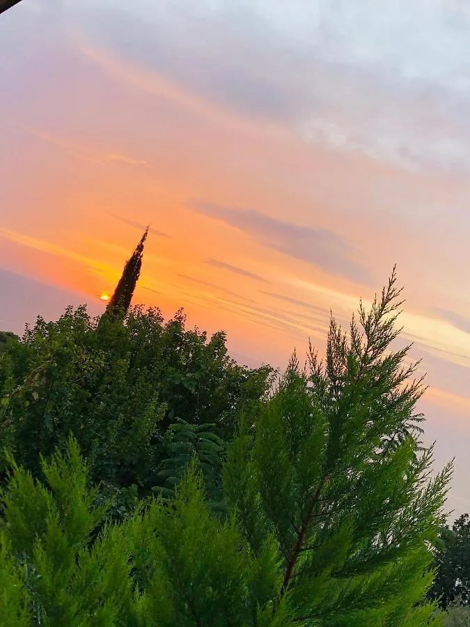 Suleymans Garden Bed and Breakfast Faralya Bed & Breakfast