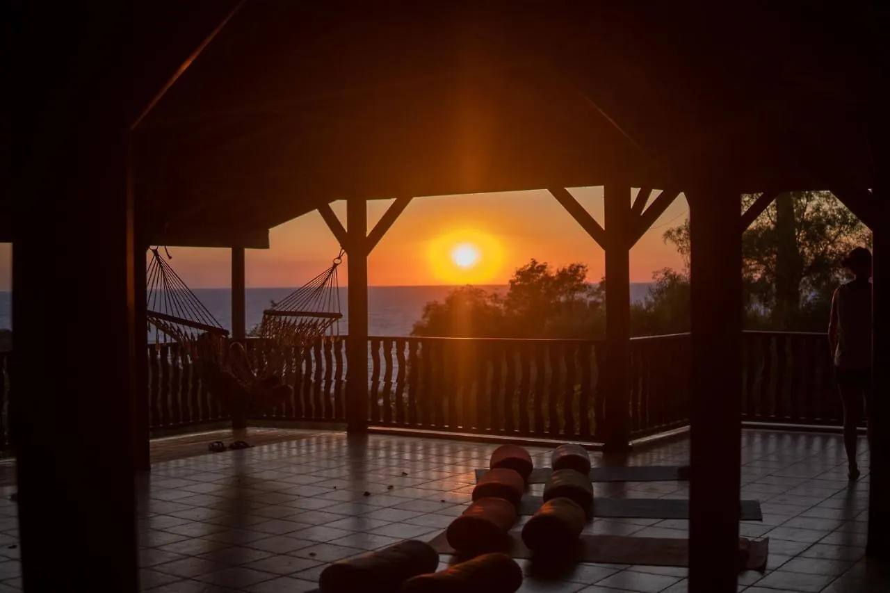 Suleymans Garden Bed and Breakfast Faralya