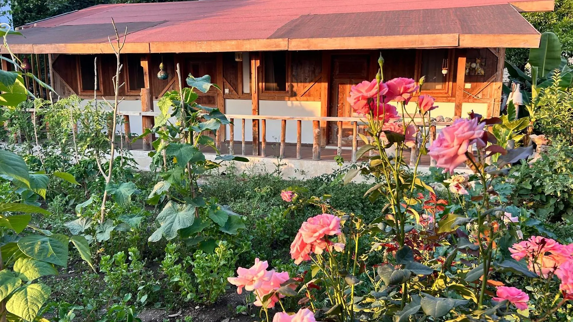 Suleymans Garden Bed and Breakfast Faralya 0*,  Turkiet