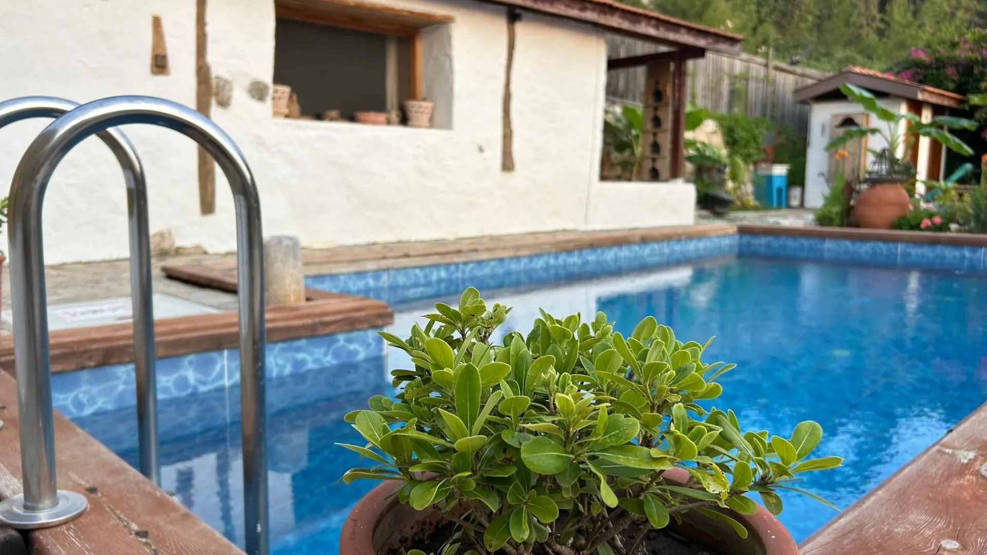 Suleymans Garden Bed and Breakfast Faralya Bed & Breakfast